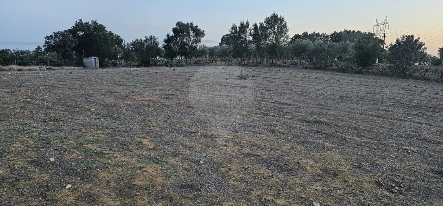 Terreno Agricola ou Rústico para Venda em Abrantes (São Vicente e São João) e Alferrarede Foto 8