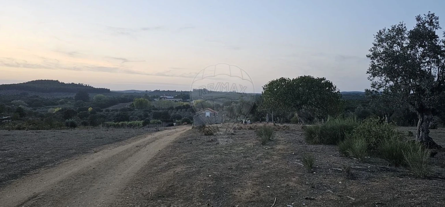 Terreno Agricola ou Rústico para Venda em Abrantes (São Vicente e São João) e Alferrarede Foto 9