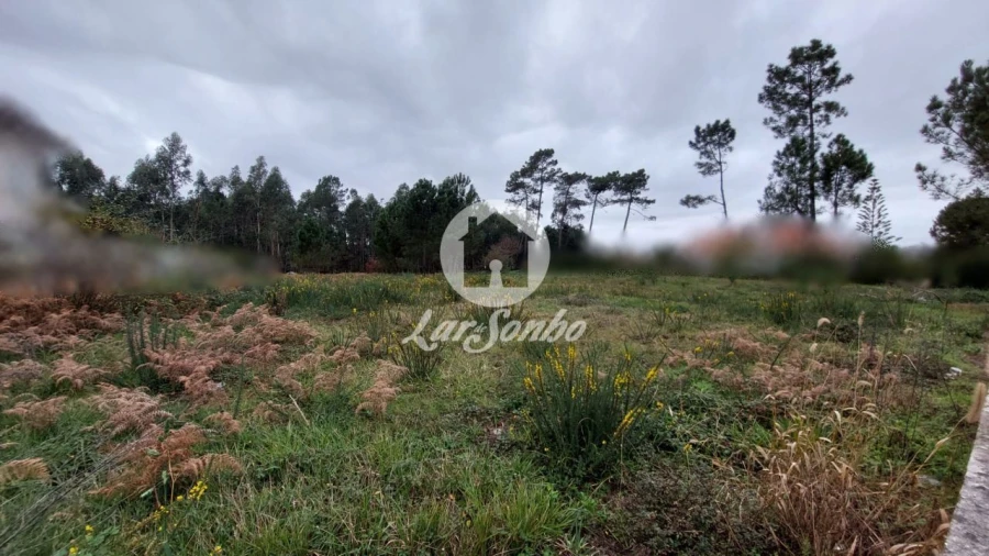 Terreno para Venda em Modivas Foto 6