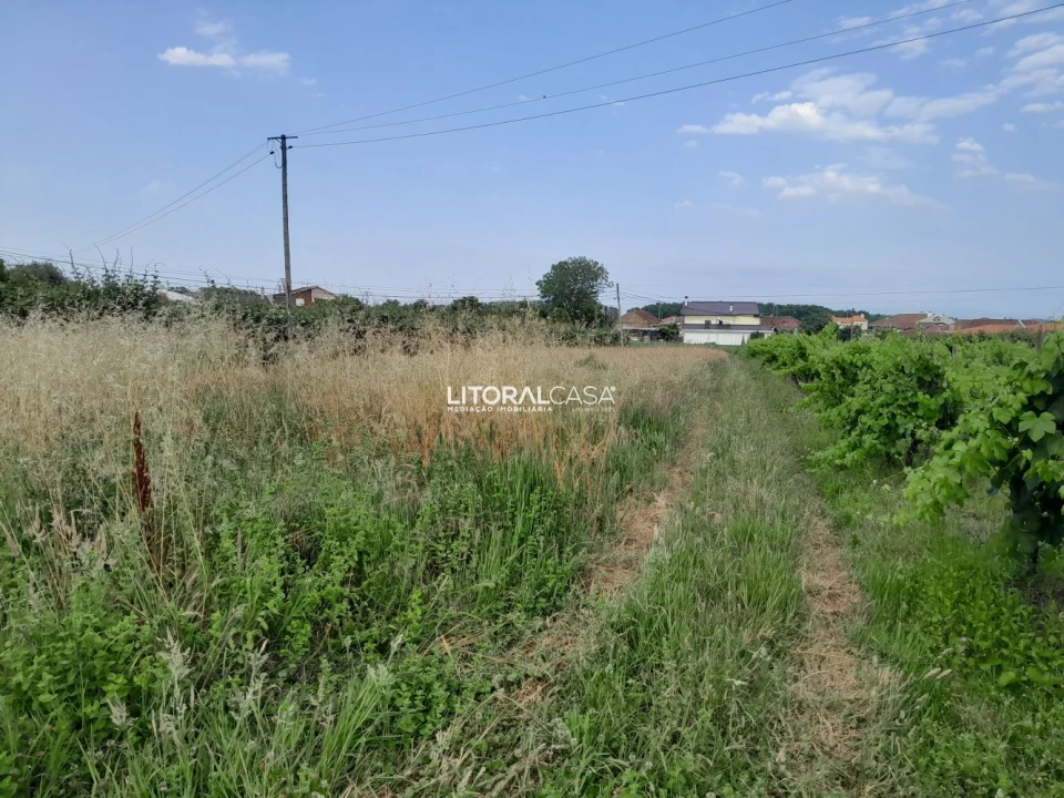 Terreno para Venda em Bustos, Troviscal e Mamarrosa Foto 3