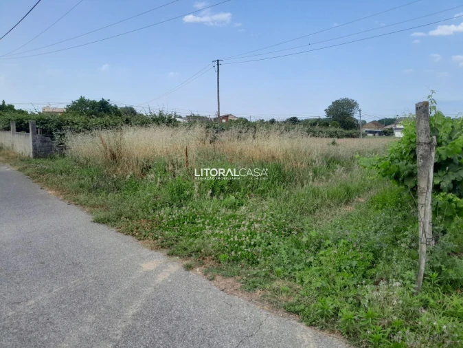 Terreno para Venda em Bustos, Troviscal e Mamarrosa