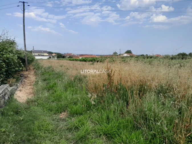 Terreno para Venda em Bustos, Troviscal e Mamarrosa Foto 5