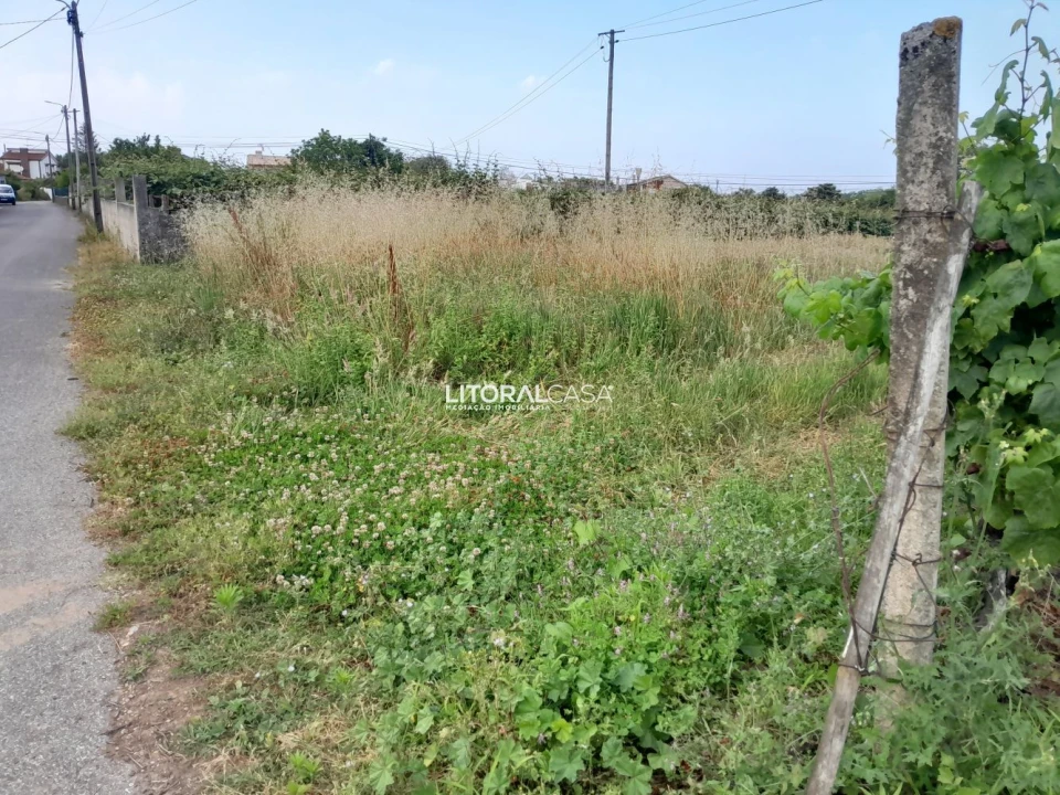 Terreno para Venda em Bustos, Troviscal e Mamarrosa Foto 2