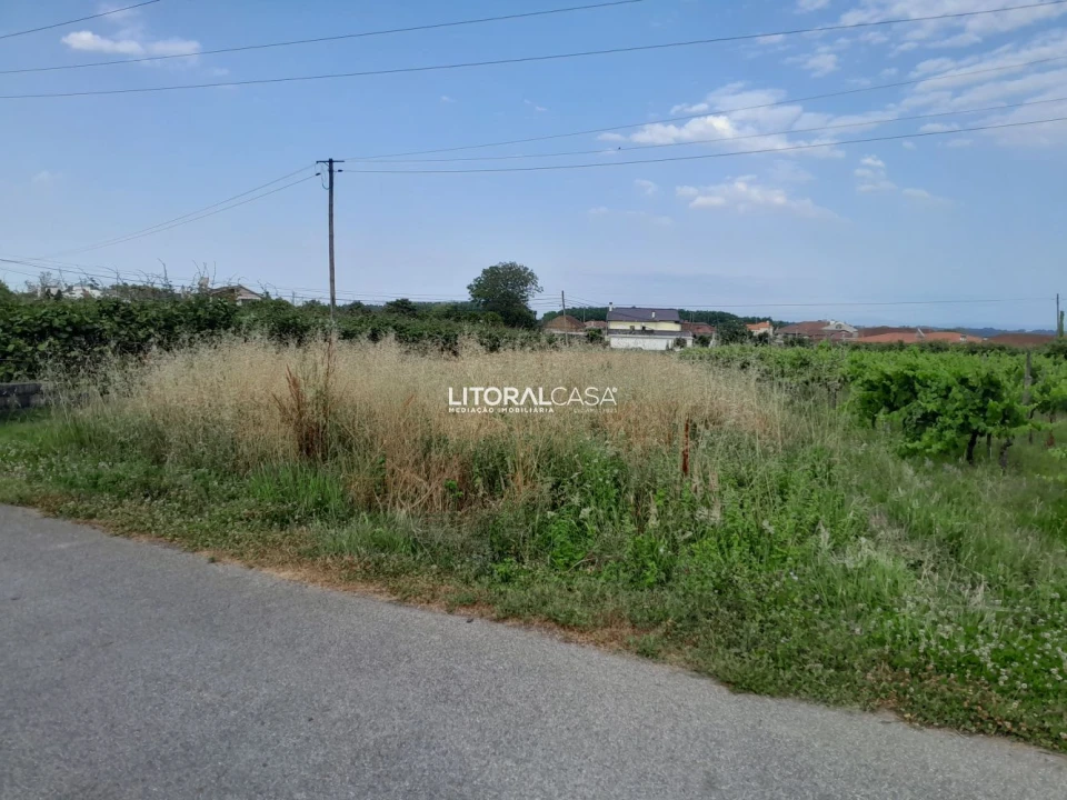 Terreno para Venda em Bustos, Troviscal e Mamarrosa Foto 4