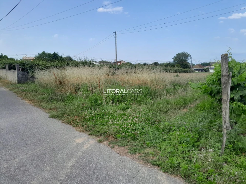 Terreno para Venda em Bustos, Troviscal e Mamarrosa Foto 1