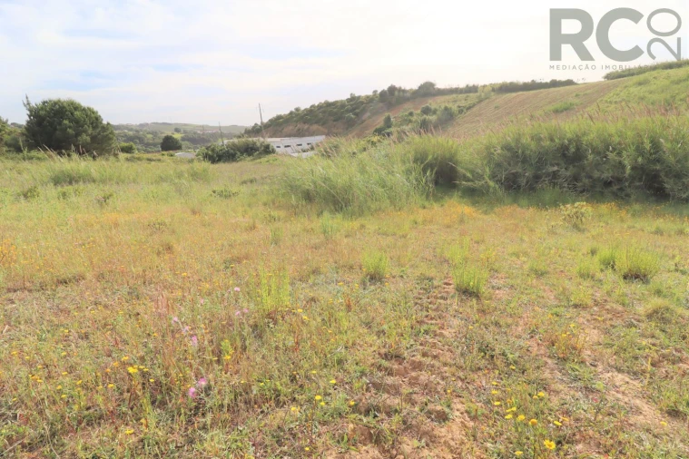 Terreno para Venda em Santa Maria, São Pedro e Matacães Foto 9
