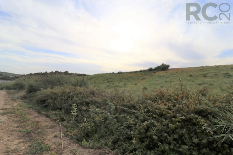 Terreno para Venda em Santa Maria, São Pedro e Matacães Foto 8