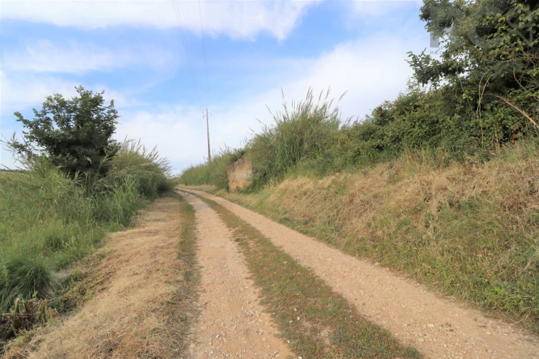 Terreno para Venda em Santa Maria, São Pedro e Matacães Foto 5