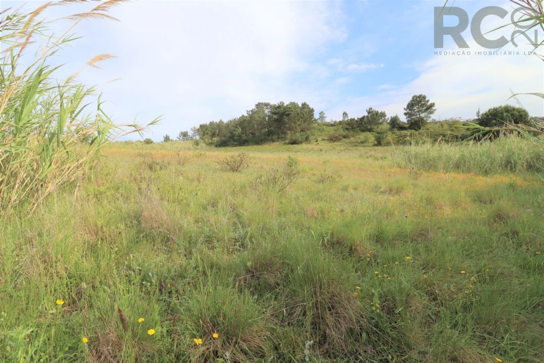 Terreno para Venda em Santa Maria, São Pedro e Matacães Foto 3