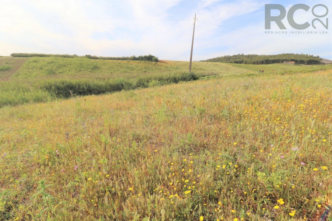 Terreno para Venda em Santa Maria, São Pedro e Matacães Foto 4