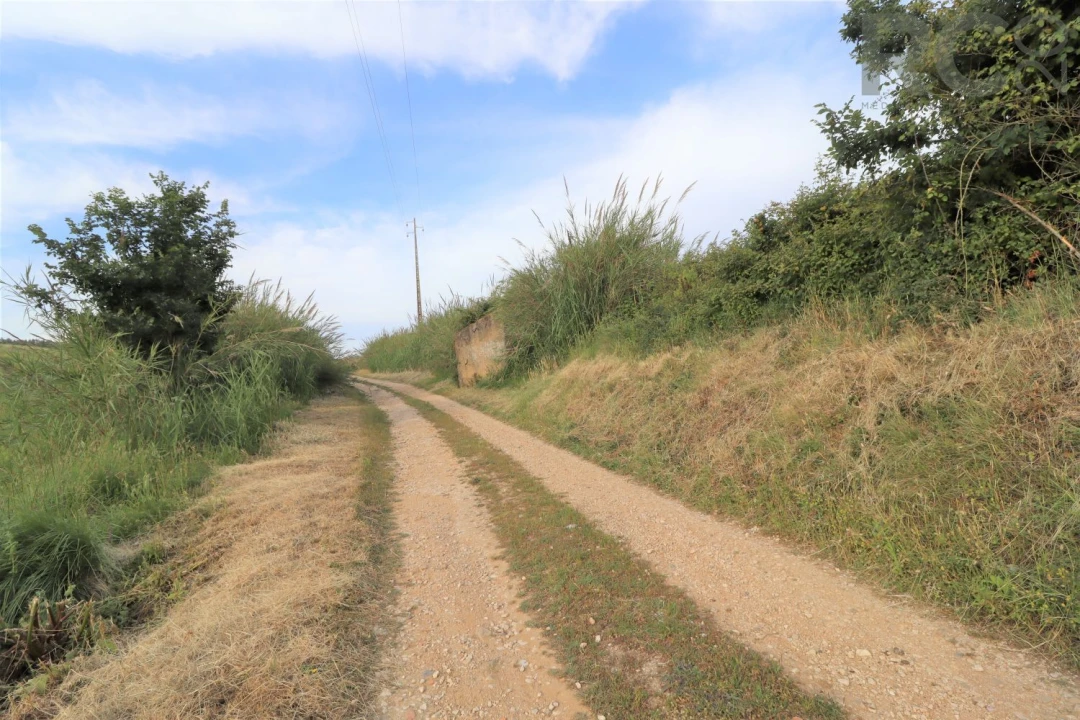Terreno para Venda em Santa Maria, São Pedro e Matacães Foto 5