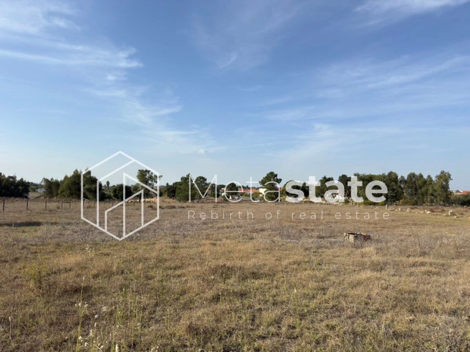 Terreno Agricola ou Rústico para Venda em Salvaterra de Magos e Foros de Salvaterra Foto 2