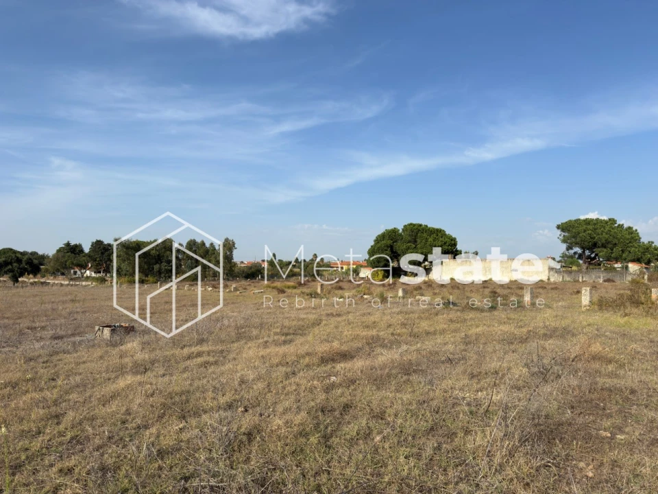 Terreno Agricola ou Rústico para Venda em Salvaterra de Magos e Foros de Salvaterra Foto 3