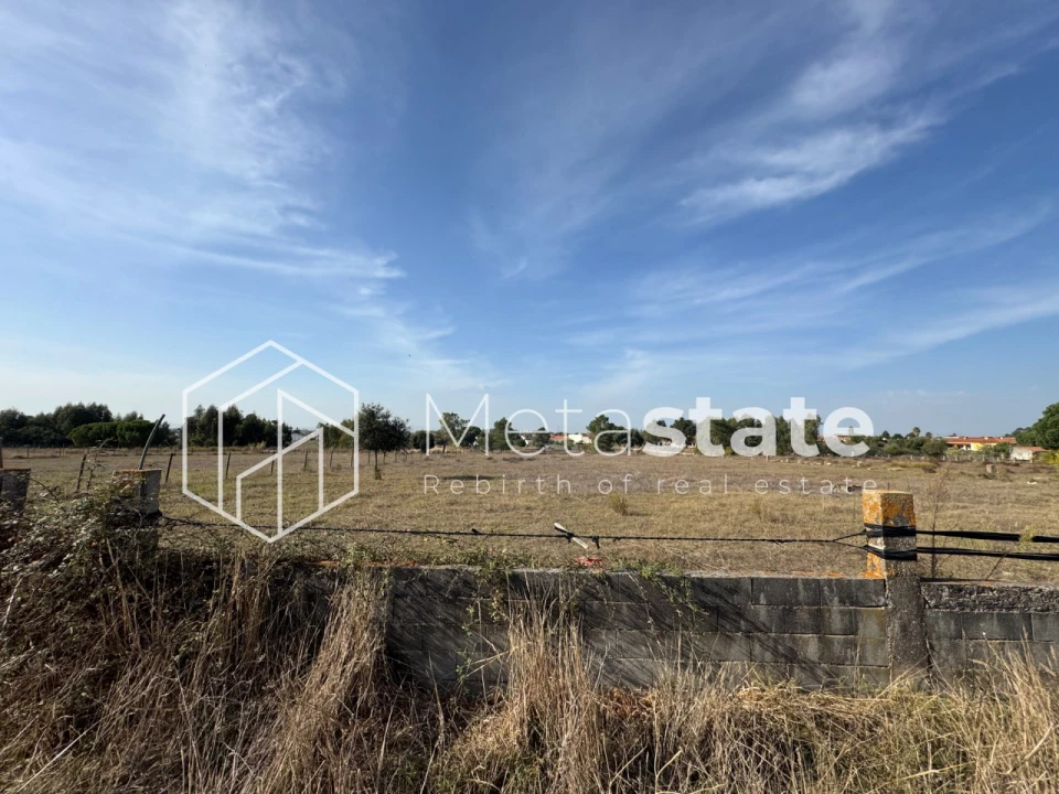 Terreno Agricola ou Rústico para Venda em Salvaterra de Magos e Foros de Salvaterra Foto 7