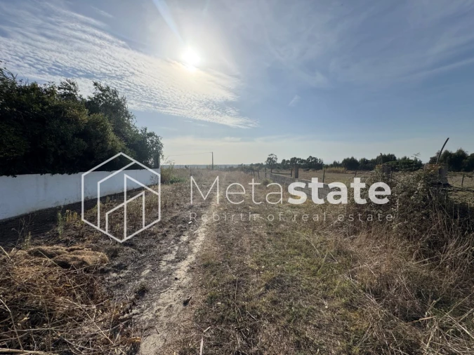 Terreno Agricola ou Rústico para Venda em Salvaterra de Magos e Foros de Salvaterra Foto 8