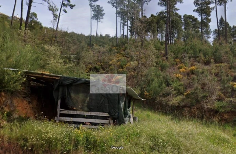 Terreno para Venda em Souto da Casa