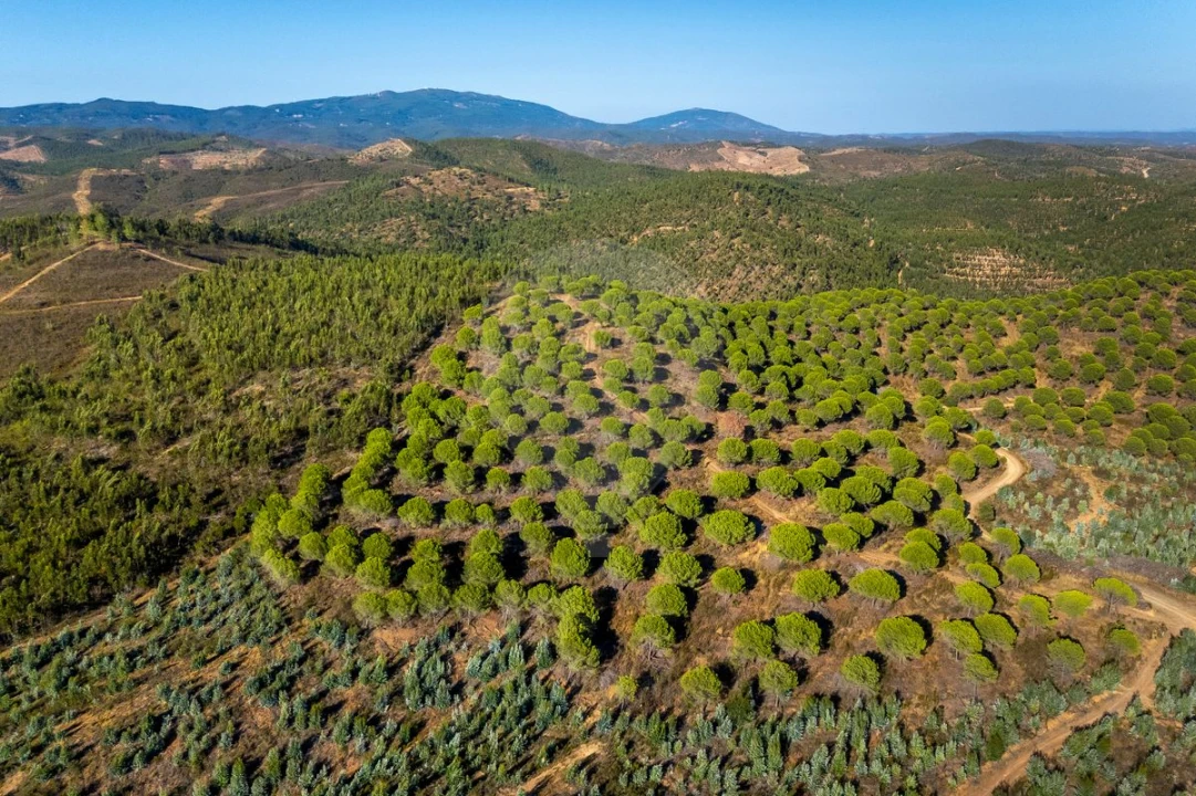 Quinta T0 para Venda em Bensafrim e Barão de São João Foto 2