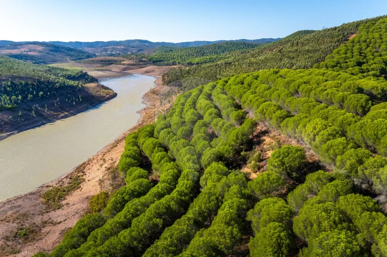 Quinta T0 para Venda em Bensafrim e Barão de São João Foto 7