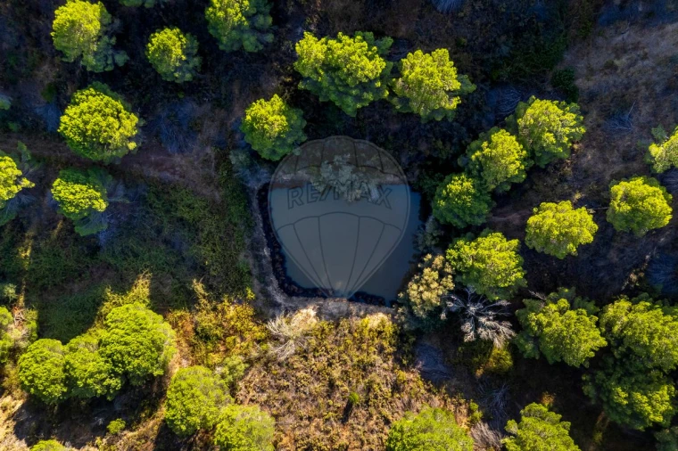 Quinta T0 para Venda em Bensafrim e Barão de São João Foto 5