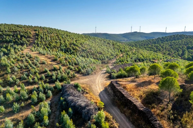 Quinta T0 para Venda em Bensafrim e Barão de São João Foto 13