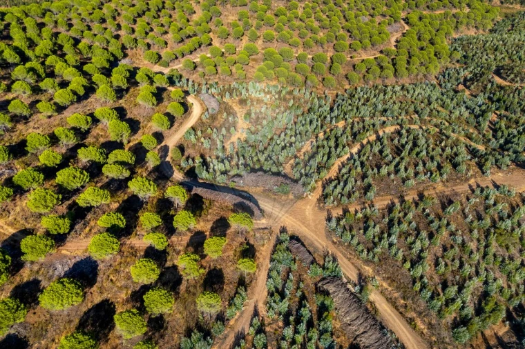 Quinta T0 para Venda em Bensafrim e Barão de São João Foto 4