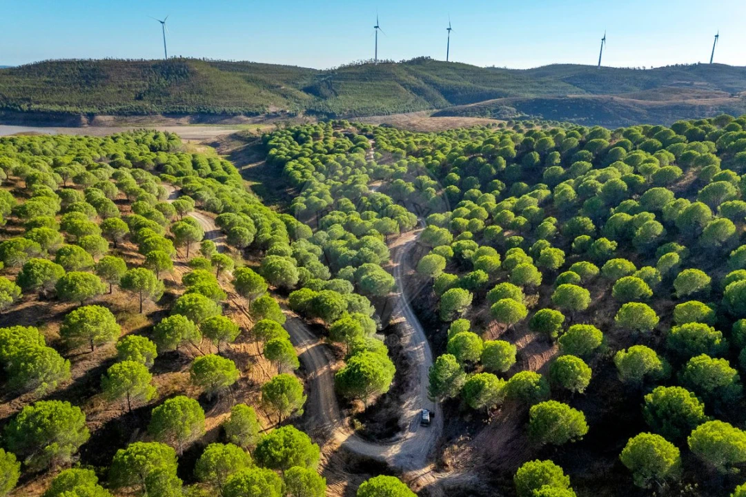 Quinta T0 para Venda em Bensafrim e Barão de São João Foto 6