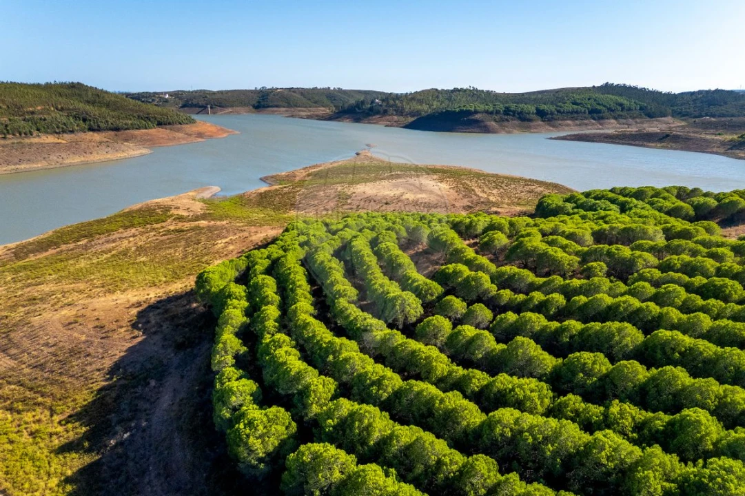 Quinta T0 para Venda em Bensafrim e Barão de São João Foto 8