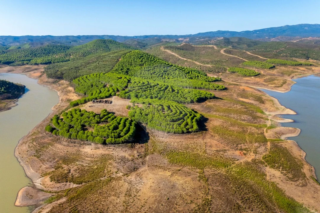 Quinta T0 para Venda em Bensafrim e Barão de São João Foto 12