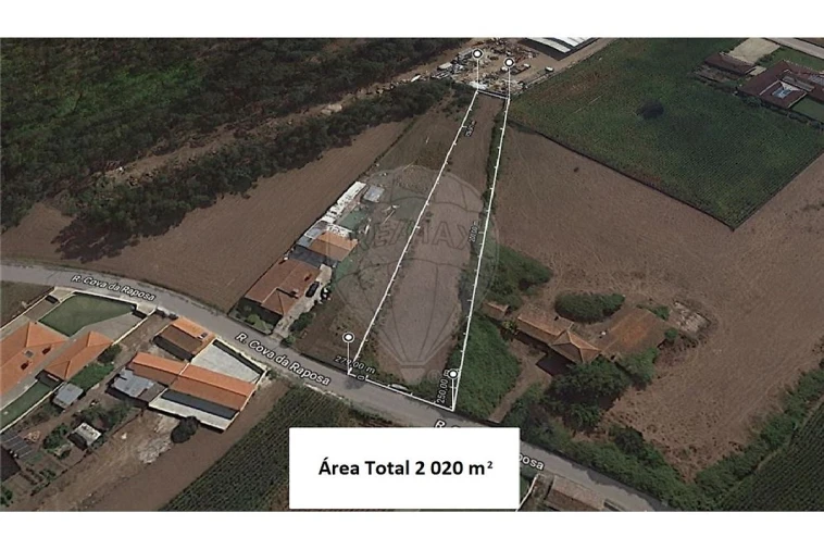 Terreno para Venda em Loureiro Foto 3