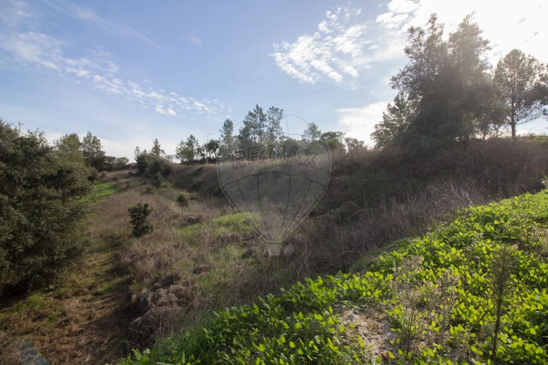 Terreno para Venda em Ota Foto 25