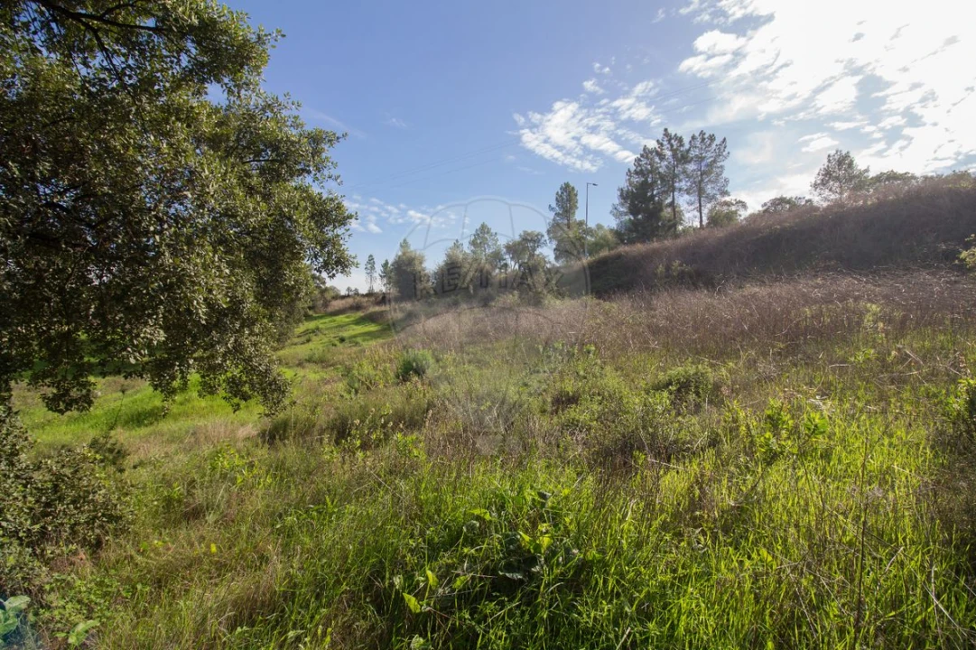 Terreno para Venda em Ota Foto 26