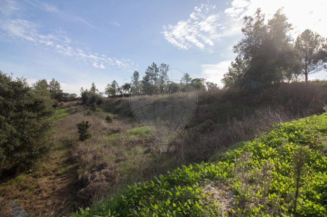 Terreno para Venda em Ota Foto 25