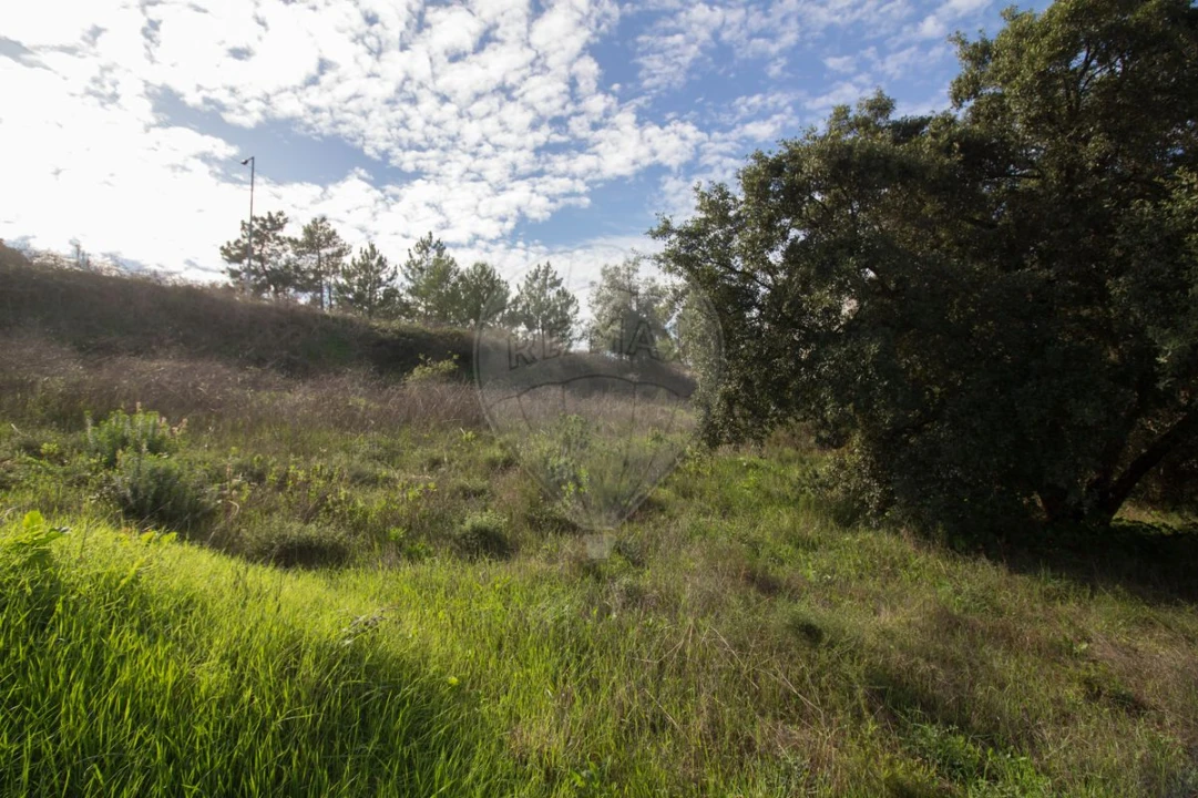 Terreno para Venda em Ota Foto 3