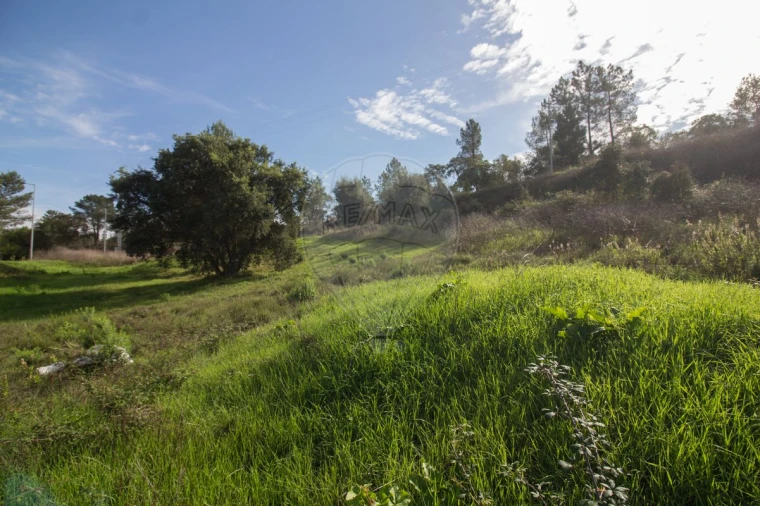 Terreno para Venda em Ota Foto 4