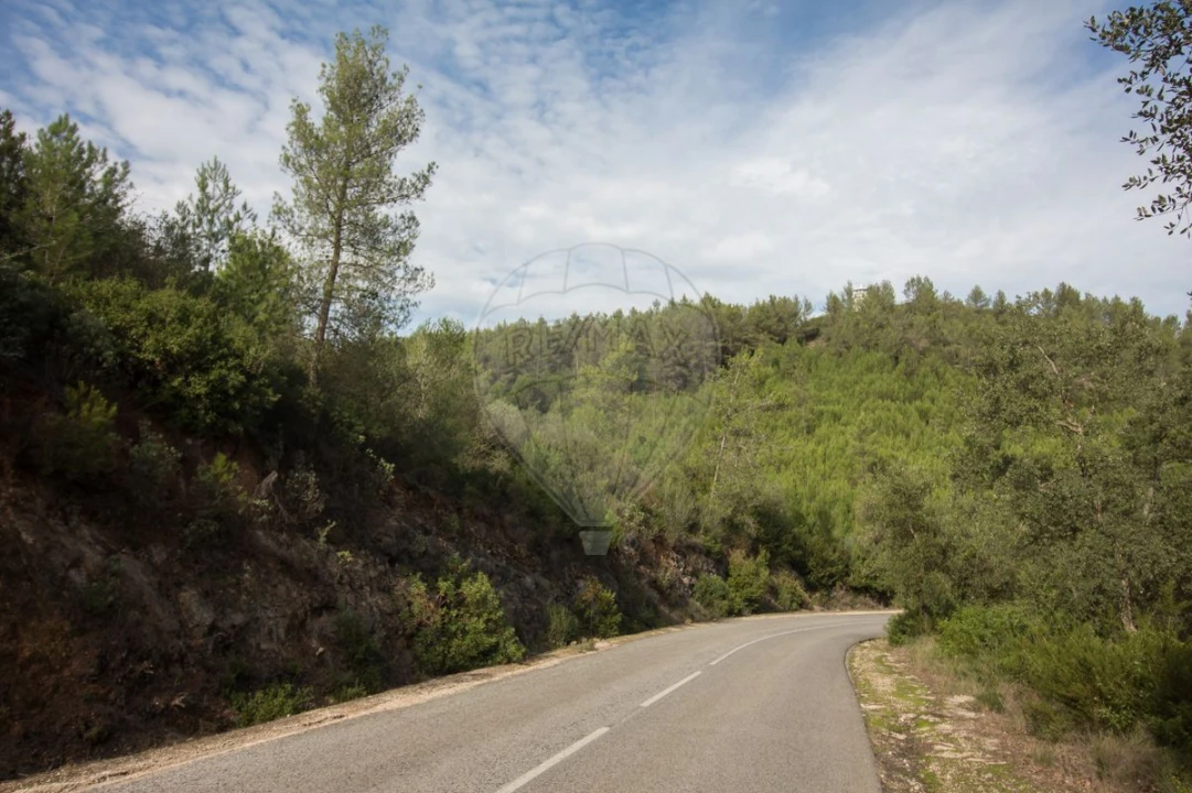 Terreno para Venda em Ota Foto 8
