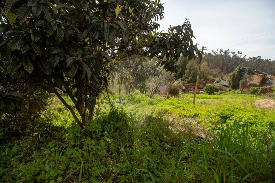 Moradia T4 para Venda em Angeja Foto 16