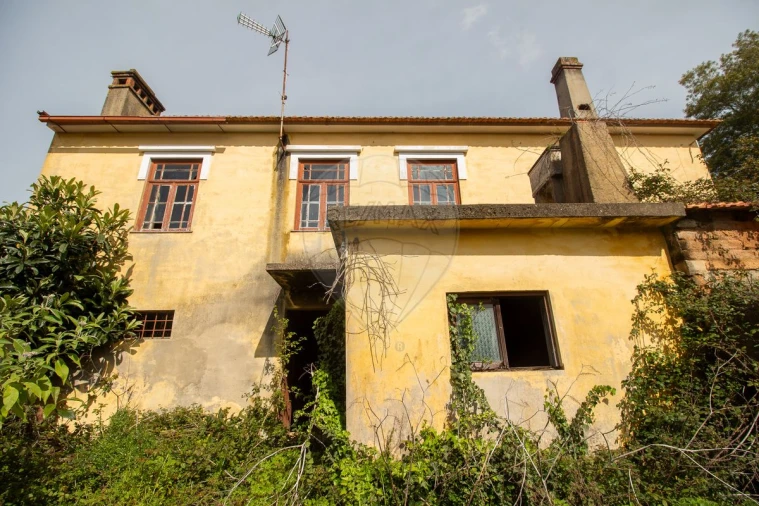 Moradia T4 para Venda em Angeja Foto 15