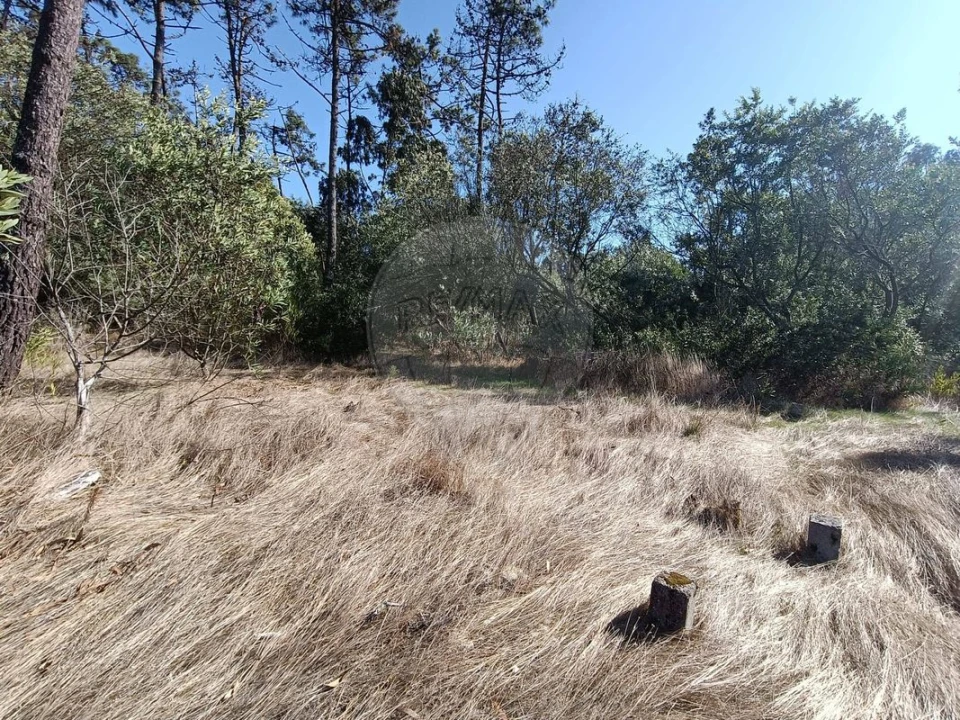 Terreno para Venda em Gafanha do Carmo Foto 5
