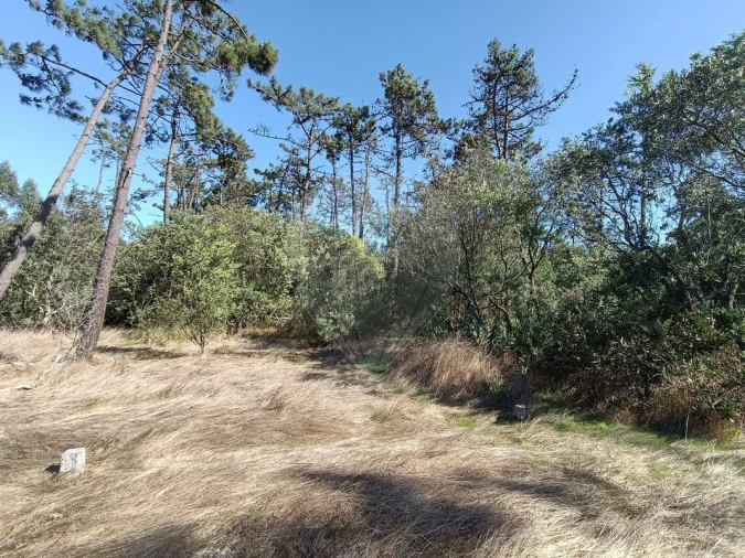 Terreno para Venda em Gafanha do Carmo Foto 1