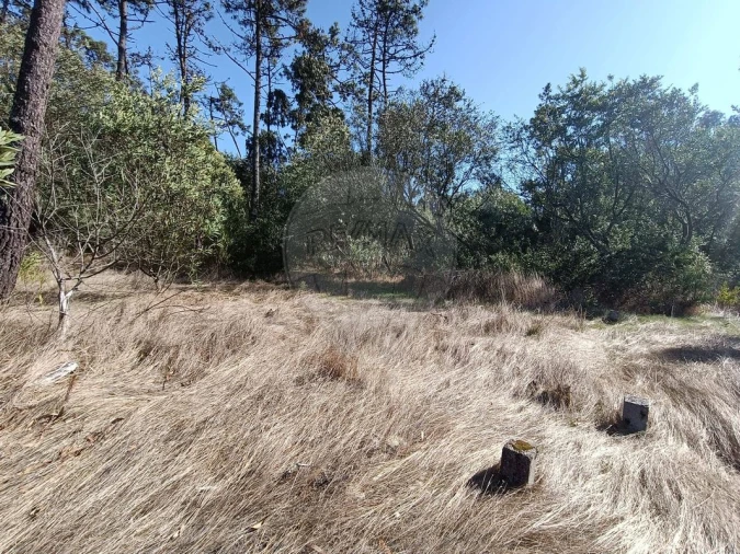 Terreno para Venda em Gafanha do Carmo Foto 5