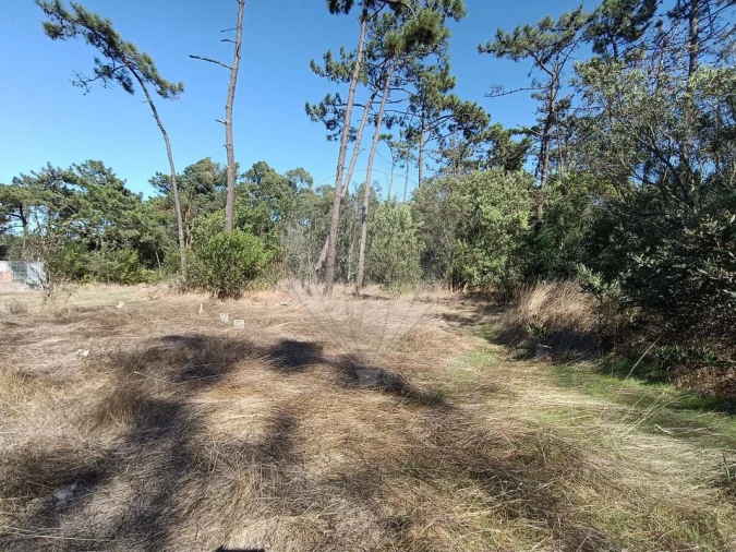 Terreno para Venda em Gafanha do Carmo Foto 2