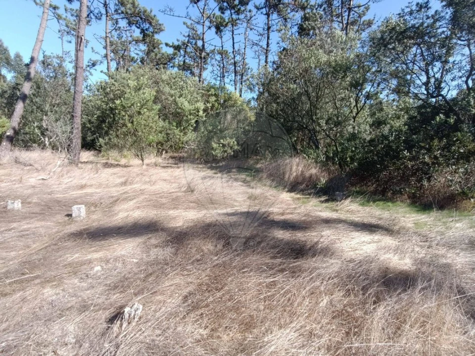 Terreno para Venda em Gafanha do Carmo Foto 3
