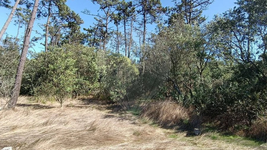 Terreno para Venda em Gafanha do Carmo