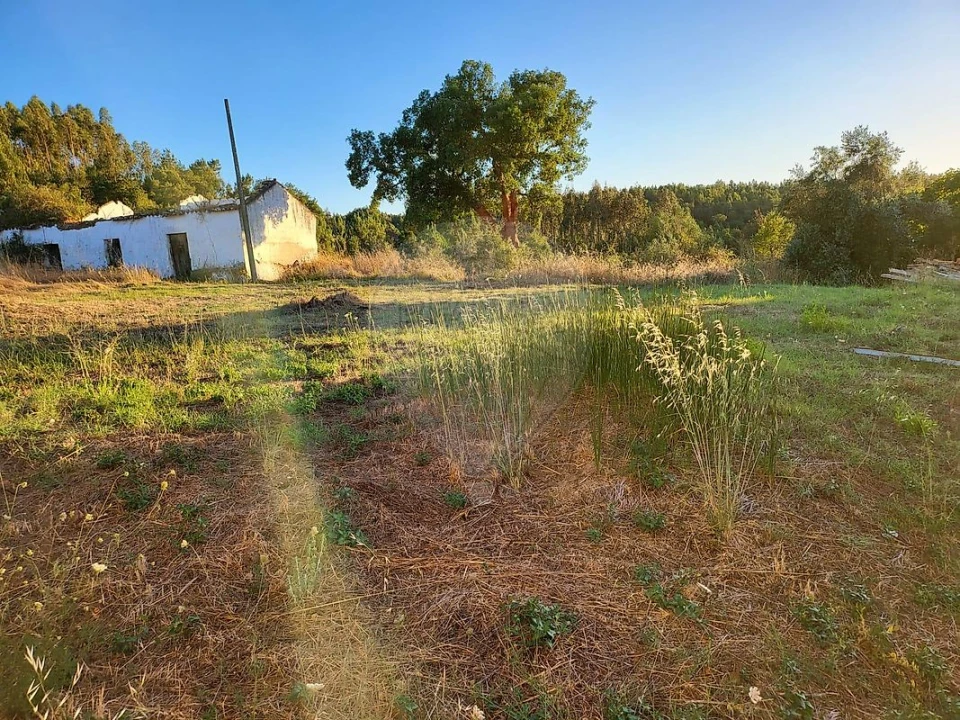 Terreno para Venda em São Facundo e Vale das Mós Foto 4