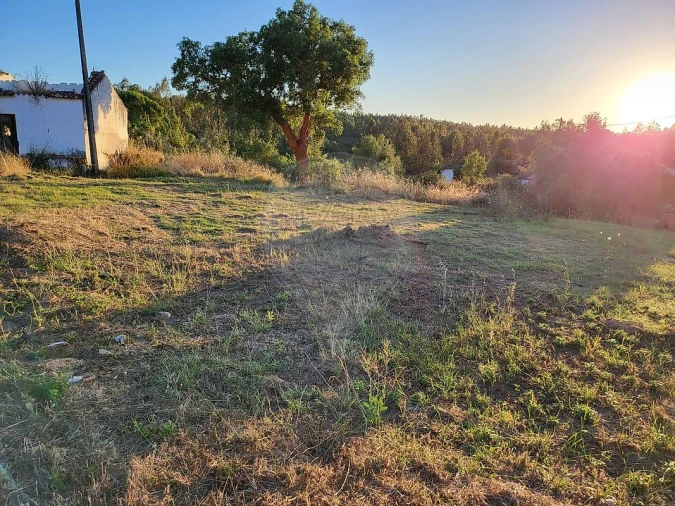Terreno para Venda em São Facundo e Vale das Mós Foto 5