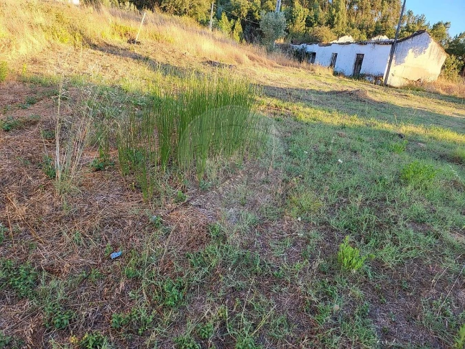 Terreno para Venda em São Facundo e Vale das Mós Foto 3