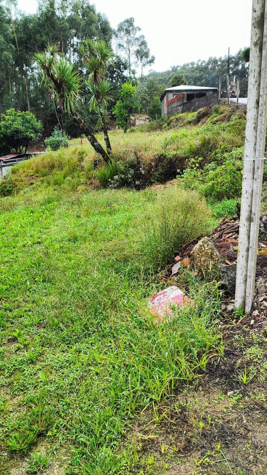 Terreno para Venda em Barcelos, V.Boa, V.Frescainha Foto 7