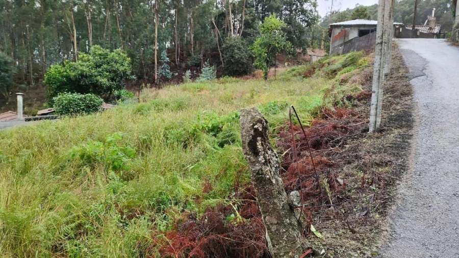 Terreno para Venda em Barcelos, V.Boa, V.Frescainha Foto 3