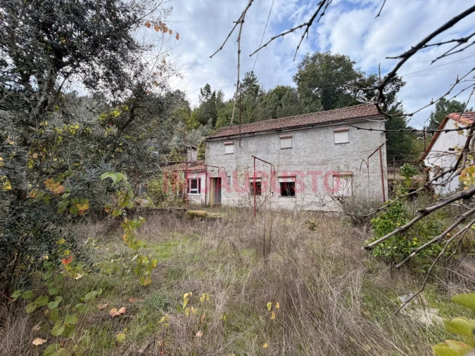 Moradia T3 para Venda em São Paio Foto 38