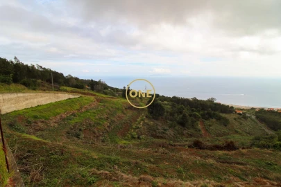 Terreno para Venda em Santa Cruz